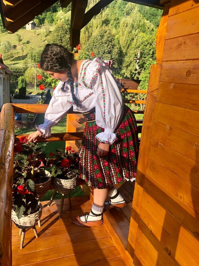Domeniul Horj Casa Din Deal مويزي المظهر الخارجي الصورة