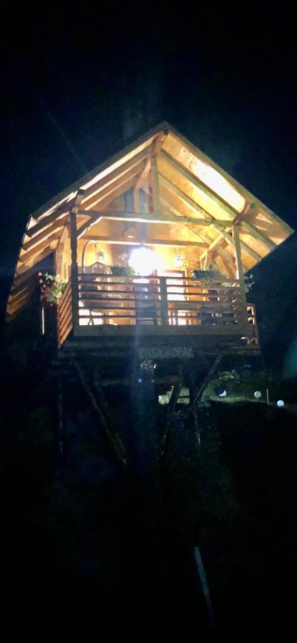 Domeniul Horj Casa Din Deal مويزي المظهر الخارجي الصورة