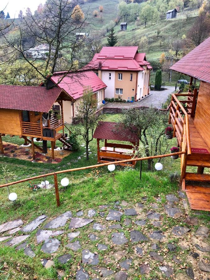 Domeniul Horj Casa Din Deal مويزي المظهر الخارجي الصورة