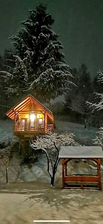 Domeniul Horj Casa Din Deal مويزي المظهر الخارجي الصورة